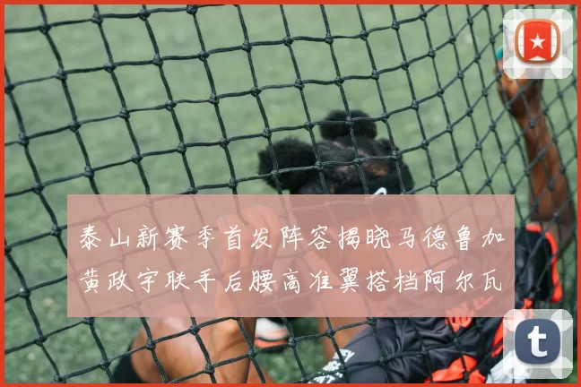 泰山新赛季首发阵容揭晓马德鲁加黄政宇联手后腰高准翼搭档阿尔瓦罗