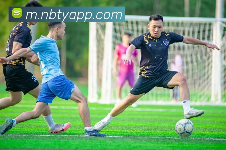 牛宝体育APP全站App